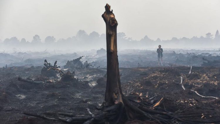 Penanganan Karhutla Menurut BMKG dan Peringatan Tentang Cara Ini