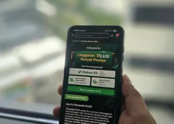 Transaksi E-commerce Naik 127 Persen Juli 2024-Juni 2025, Produk Paling Laris Apa?