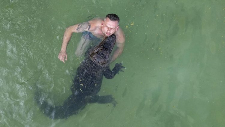 Pria Ini Pelihara dan Berenang dengan Aligator yang Berani