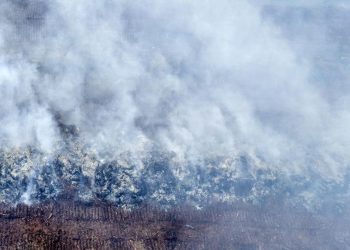 Bahaya Tinggi Karhutla Riau dengan Modifikasi Cuaca Pekan Ini