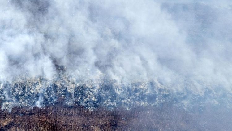 Bahaya Tinggi Karhutla Riau dengan Modifikasi Cuaca Pekan Ini
