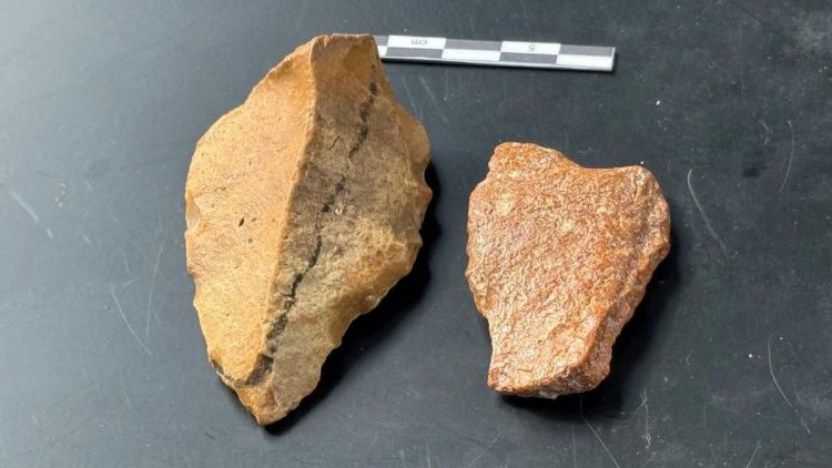 Penemuan Artefak Tua di Sulawesi Selatan Berusia 1,5 Juta Tahun