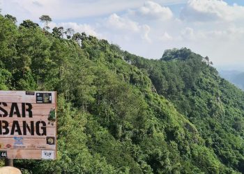 Sumber Gempa di Jawa Barat: Sesar Lembang dan Citarik yang Perlu Diketahui