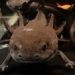 Naga Imut Axolotl Kini Menjadi Duta Konservasi