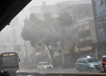 Waspada Dampak Siklon Bualoi Potensi Hujan Ekstrem di Daerah Terkait