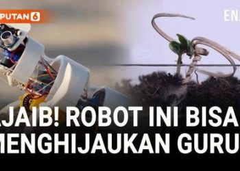 Robot Penabur Benih Dapat Menghijaukan Gurun