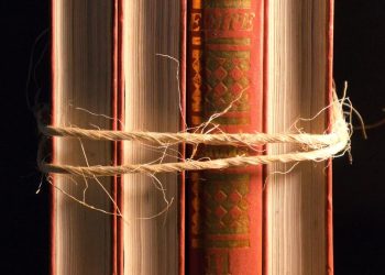 Trafik Wikipedia Turun 8 Persen, Generasi Muda Lebih Percaya AI dan Media Sosial