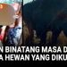 Kebun Binatang Masa Depan Tanpa Penahanan Hewan Namun Tetap Menarik
