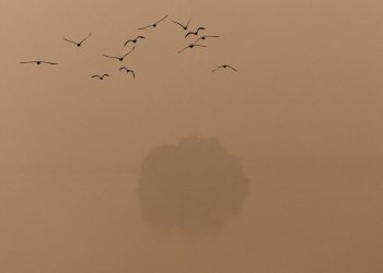 Kabut Polusi Menutupi New Delhi India