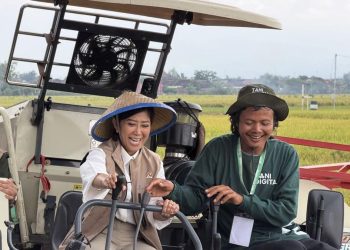 Manfaat Penggunaan IoT di Pertanian Menurut Menkomdigi, Apa Saja?