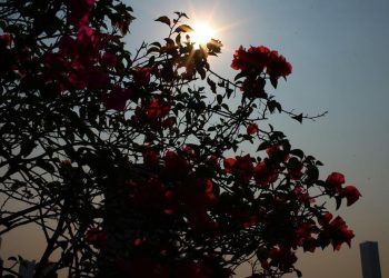 Peluang Heatwave Menghantam Indonesia Menurut BMKG