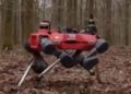 Aksi Robot Anjing Lindungi dan Kelola Hutan Buatan Oxford