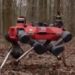 Aksi Robot Anjing Lindungi dan Kelola Hutan Buatan Oxford