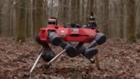 Aksi Robot Anjing Lindungi dan Kelola Hutan Buatan Oxford