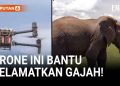 Drone Membantu Menyelamatkan Gajah dan Memahami Pola Kebiasaan Mereka
