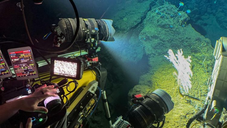 Menyelami Keindahan Kehidupan Laut di Sulawesi