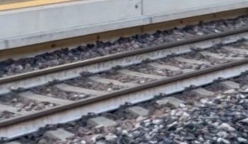 Rusa Berlarian di Stasiun Kereta Menjadi Viral di Italia