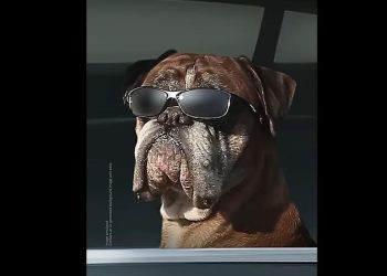 Peningkatan Low-Light dan Zoom Kamera di Galaxy S26 Series