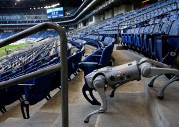 Tim Robot Anjing Siap Mengamankan Piala Dunia 2026