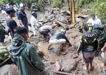 Banjir Bandang Banyak: Alarm Runtuhnya Ekosistem Hutan Menurut BRIN