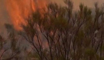 Kebakaran Hutan di Argentina Hanguskan Lahan Seluas Dua Kali Buenos Aires